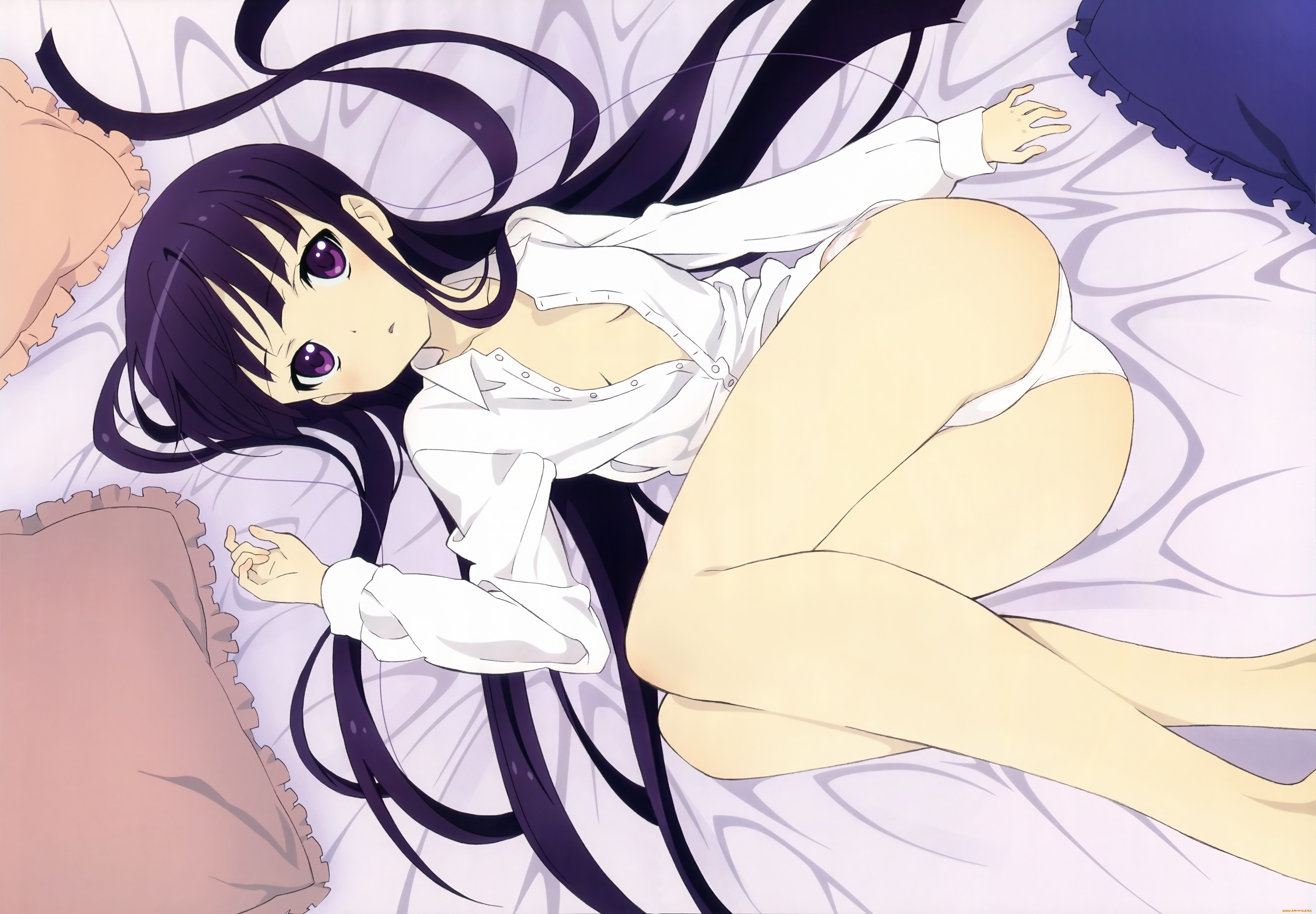 , inu x boku ss, , , 